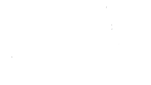 Bigeye - Scuola federale Surfing Fisw e SUP
